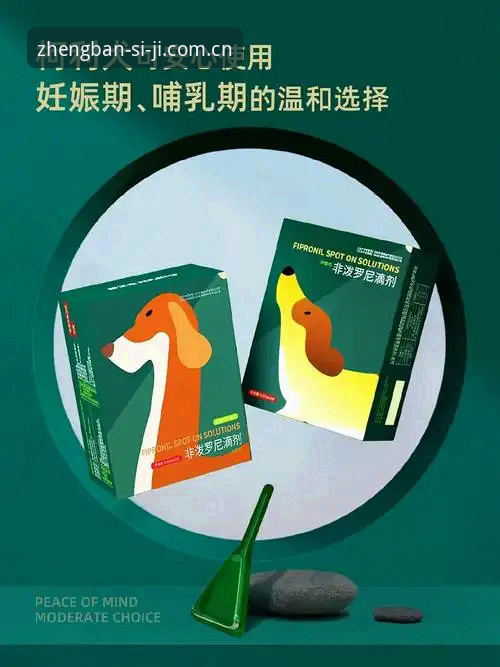 四季官网安装官方下载 vs 第三方渠道：哪个更安全高效？